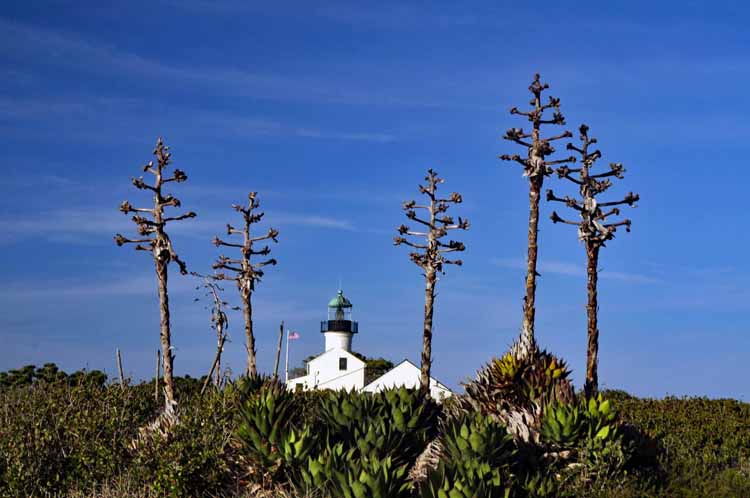 lighthouse